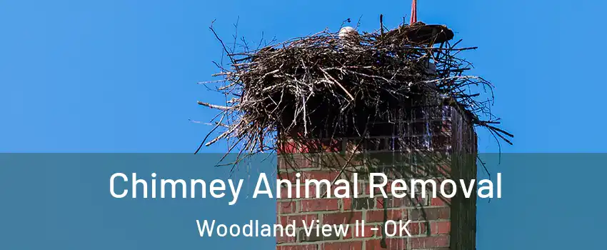 Chimney Animal Removal Woodland View II - OK