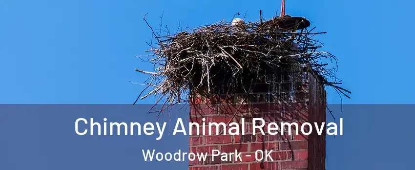 Chimney Animal Removal Woodrow Park - OK