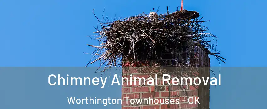 Chimney Animal Removal Worthington Townhouses - OK