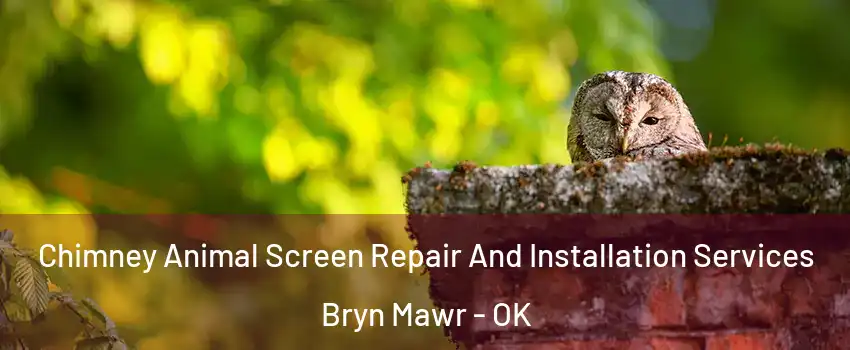 Chimney Animal Screen Repair And Installation Services Bryn Mawr - OK