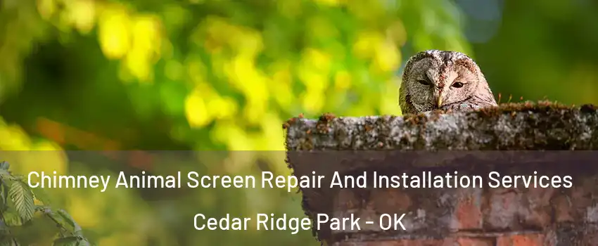Chimney Animal Screen Repair And Installation Services Cedar Ridge Park - OK