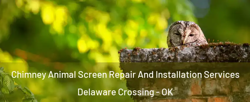 Chimney Animal Screen Repair And Installation Services Delaware Crossing - OK