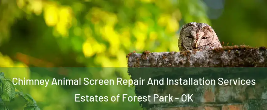 Chimney Animal Screen Repair And Installation Services Estates of Forest Park - OK