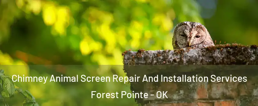 Chimney Animal Screen Repair And Installation Services Forest Pointe - OK