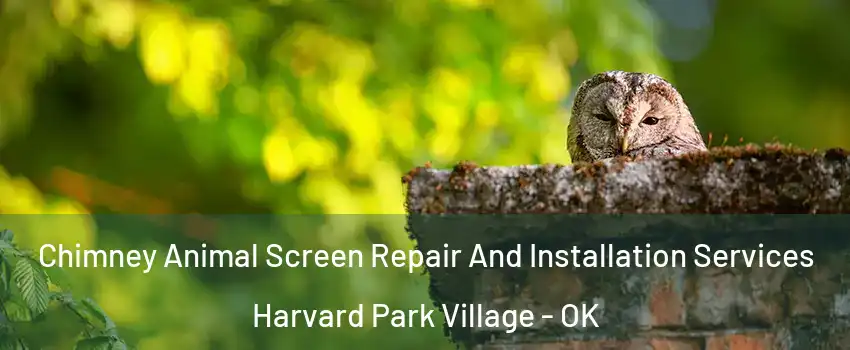 Chimney Animal Screen Repair And Installation Services Harvard Park Village - OK