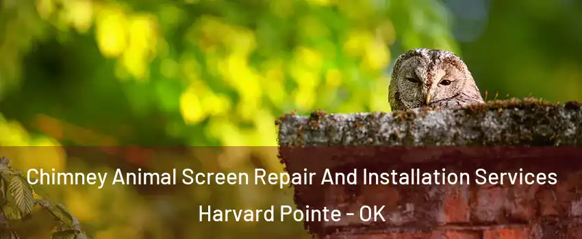 Chimney Animal Screen Repair And Installation Services Harvard Pointe - OK