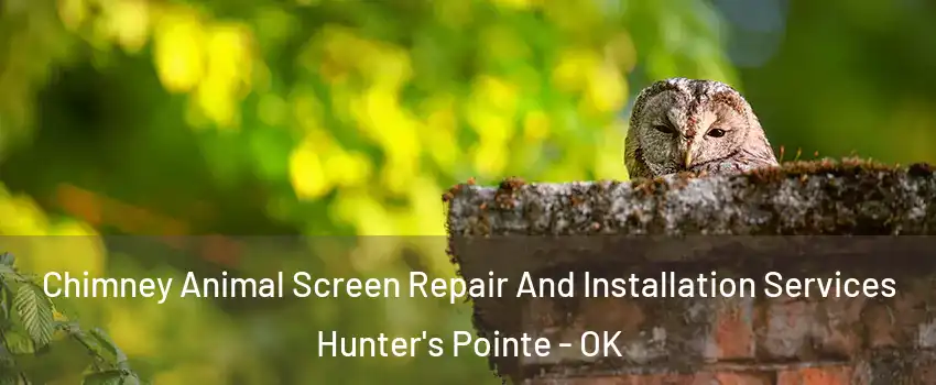 Chimney Animal Screen Repair And Installation Services Hunter's Pointe - OK