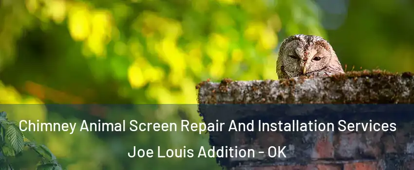 Chimney Animal Screen Repair And Installation Services Joe Louis Addition - OK