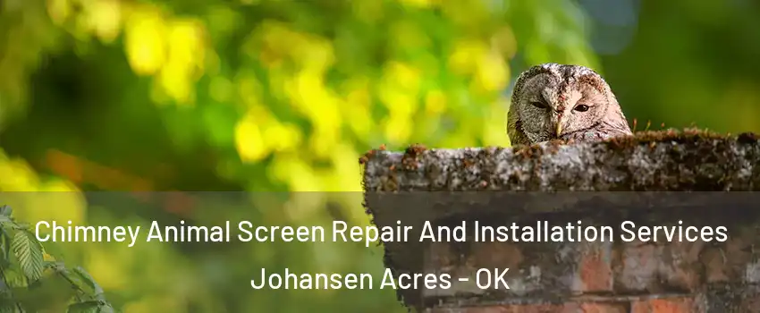 Chimney Animal Screen Repair And Installation Services Johansen Acres - OK