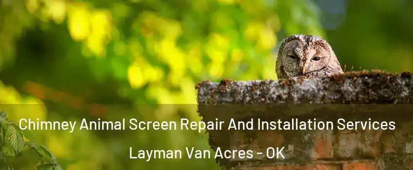 Chimney Animal Screen Repair And Installation Services Layman Van Acres - OK