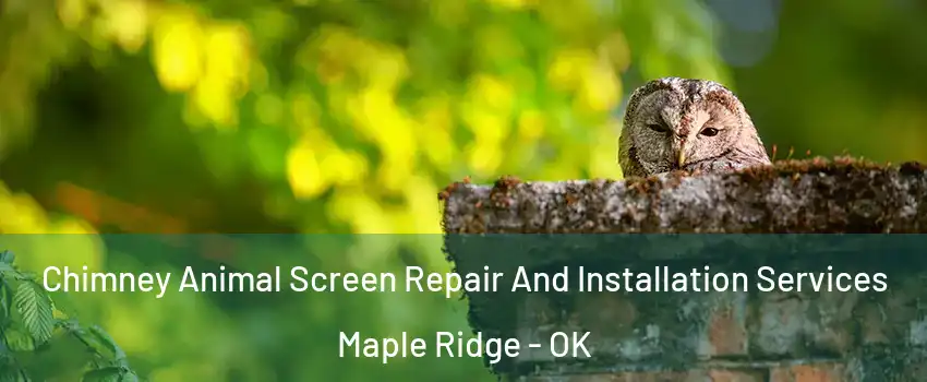 Chimney Animal Screen Repair And Installation Services Maple Ridge - OK