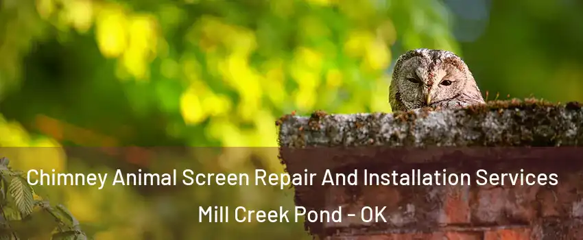 Chimney Animal Screen Repair And Installation Services Mill Creek Pond - OK