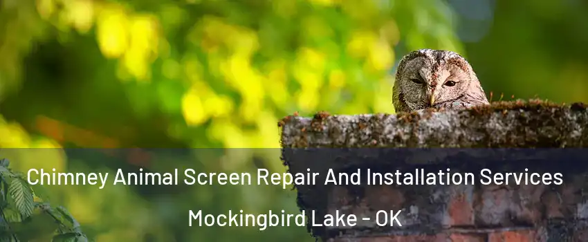 Chimney Animal Screen Repair And Installation Services Mockingbird Lake - OK