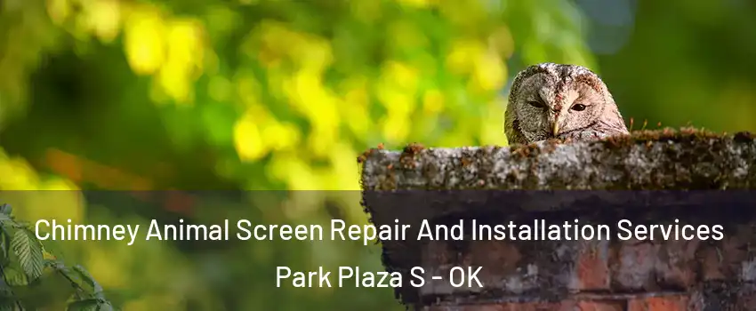 Chimney Animal Screen Repair And Installation Services Park Plaza S - OK