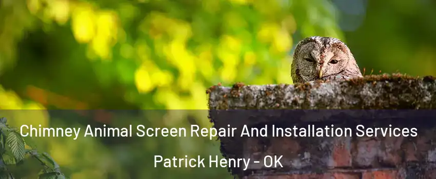 Chimney Animal Screen Repair And Installation Services Patrick Henry - OK