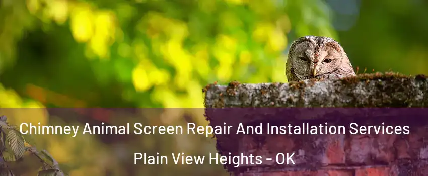 Chimney Animal Screen Repair And Installation Services Plain View Heights - OK