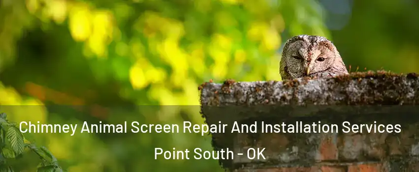 Chimney Animal Screen Repair And Installation Services Point South - OK