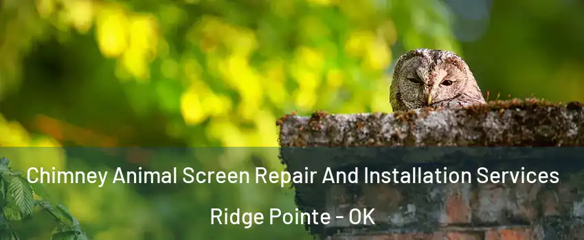 Chimney Animal Screen Repair And Installation Services Ridge Pointe - OK