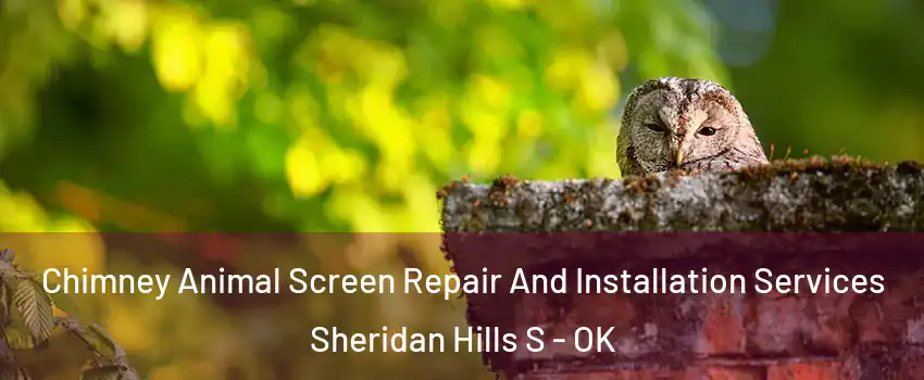 Chimney Animal Screen Repair And Installation Services Sheridan Hills S - OK