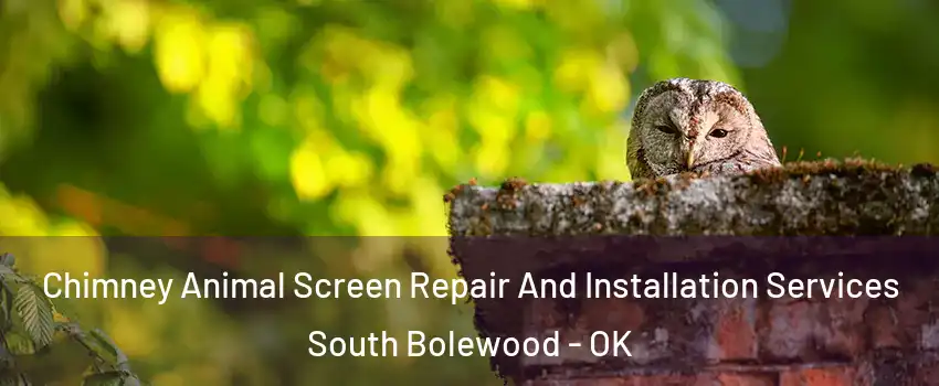 Chimney Animal Screen Repair And Installation Services South Bolewood - OK