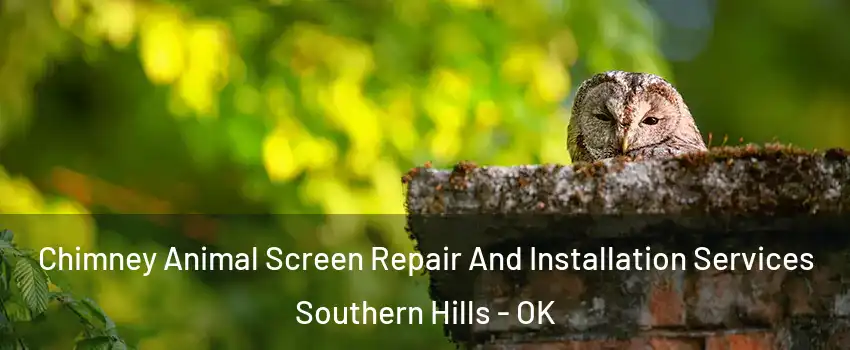 Chimney Animal Screen Repair And Installation Services Southern Hills - OK