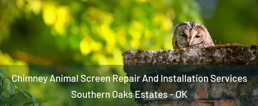 Chimney Animal Screen Repair And Installation Services Southern Oaks Estates - OK
