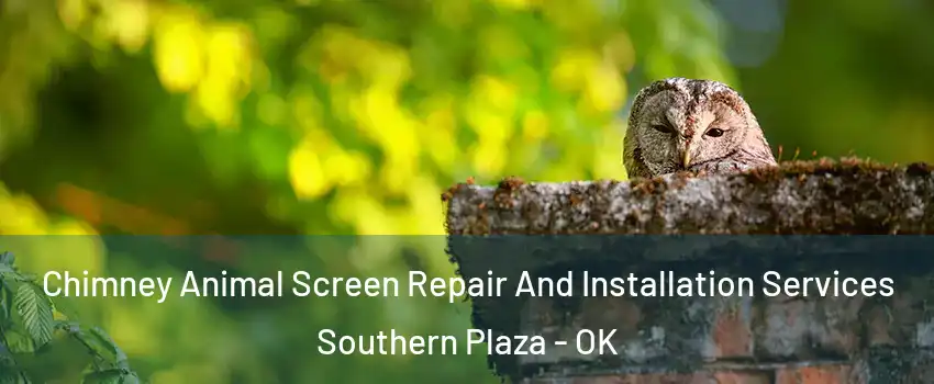 Chimney Animal Screen Repair And Installation Services Southern Plaza - OK