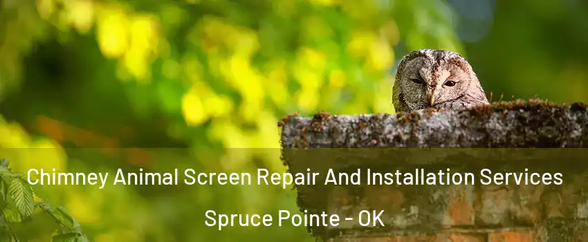 Chimney Animal Screen Repair And Installation Services Spruce Pointe - OK