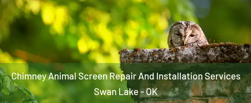 Chimney Animal Screen Repair And Installation Services Swan Lake - OK