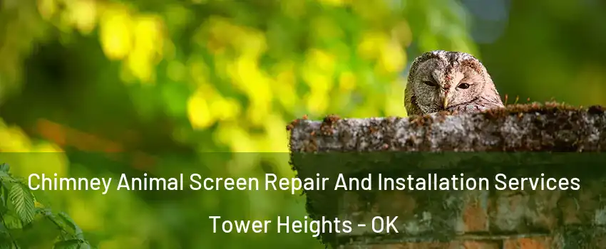 Chimney Animal Screen Repair And Installation Services Tower Heights - OK