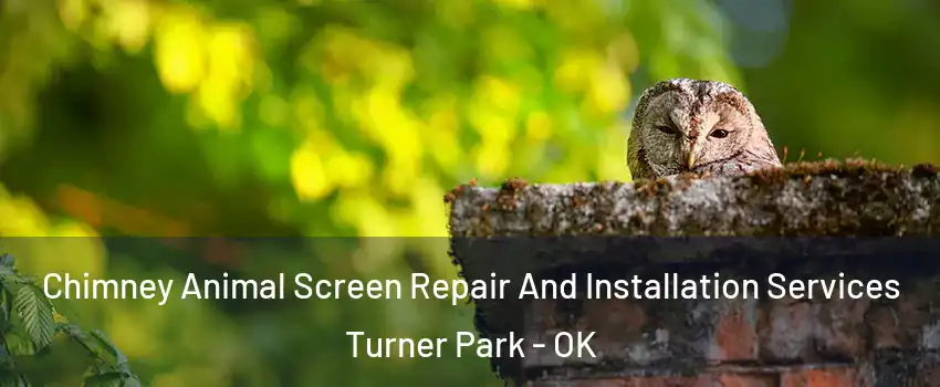 Chimney Animal Screen Repair And Installation Services Turner Park - OK