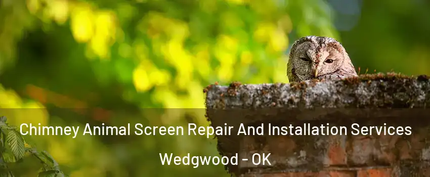 Chimney Animal Screen Repair And Installation Services Wedgwood - OK
