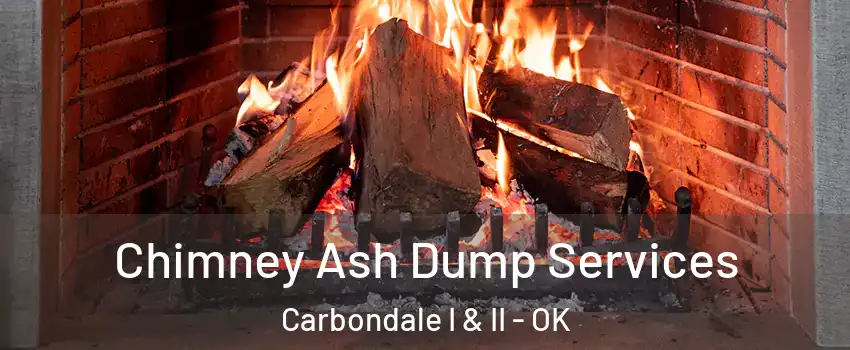 Chimney Ash Dump Services Carbondale I & II - OK
