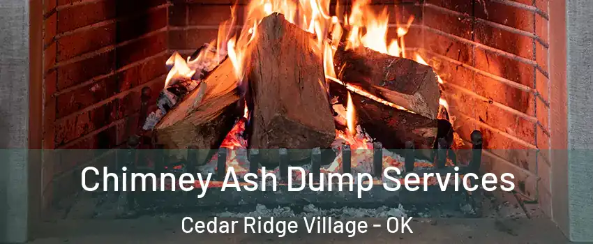 Chimney Ash Dump Services Cedar Ridge Village - OK