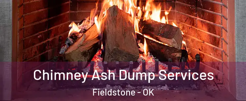 Chimney Ash Dump Services Fieldstone - OK