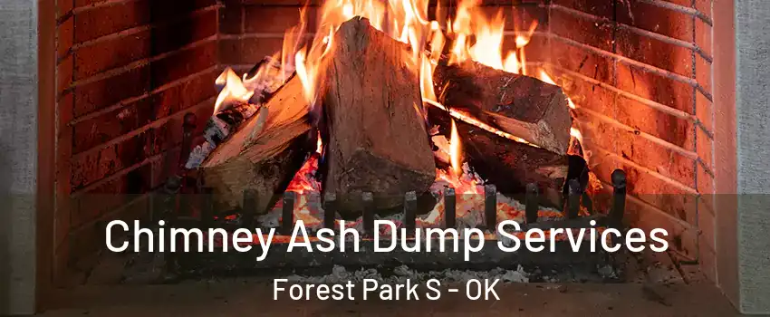 Chimney Ash Dump Services Forest Park S - OK