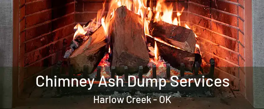 Chimney Ash Dump Services Harlow Creek - OK