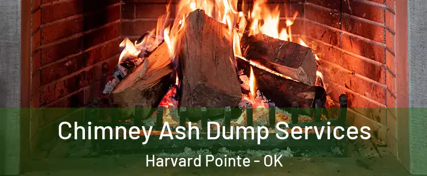 Chimney Ash Dump Services Harvard Pointe - OK