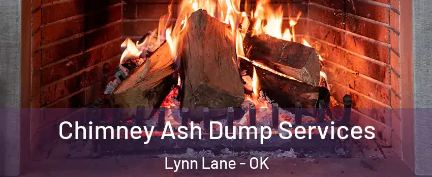 Chimney Ash Dump Services Lynn Lane - OK