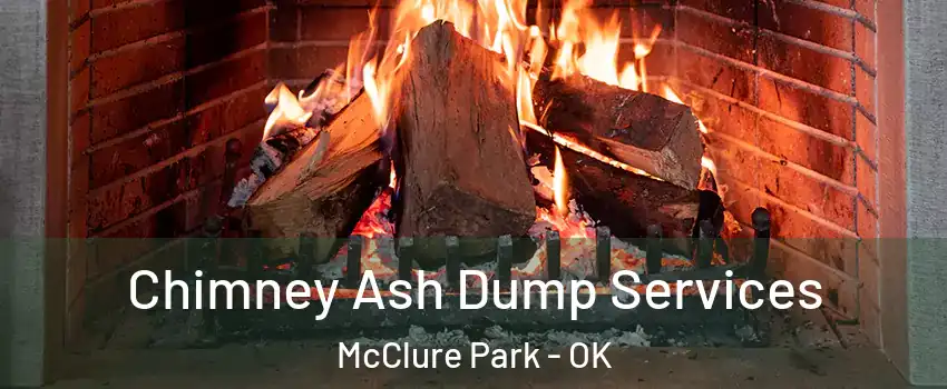 Chimney Ash Dump Services McClure Park - OK