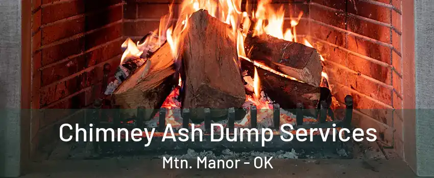 Chimney Ash Dump Services Mtn. Manor - OK