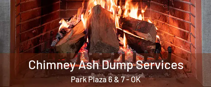 Chimney Ash Dump Services Park Plaza 6 & 7 - OK