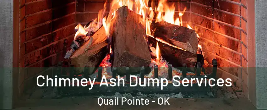 Chimney Ash Dump Services Quail Pointe - OK
