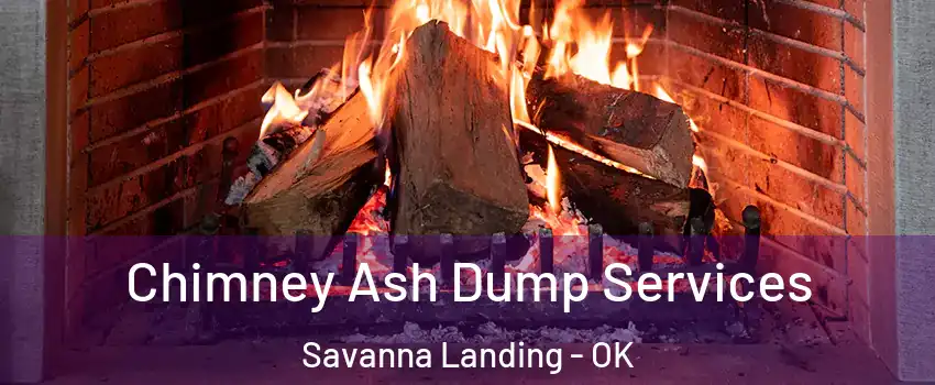 Chimney Ash Dump Services Savanna Landing - OK