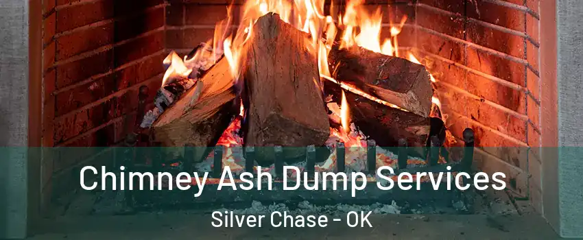 Chimney Ash Dump Services Silver Chase - OK
