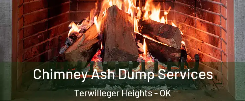 Chimney Ash Dump Services Terwilleger Heights - OK