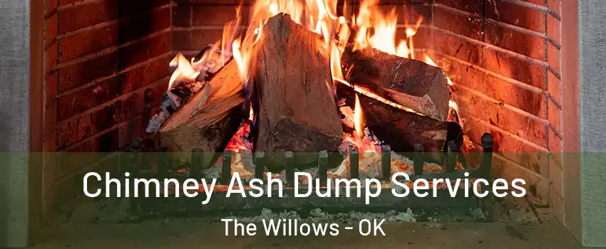 Chimney Ash Dump Services The Willows - OK