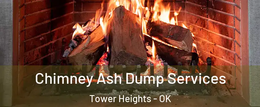Chimney Ash Dump Services Tower Heights - OK