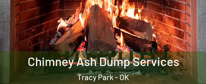 Chimney Ash Dump Services Tracy Park - OK