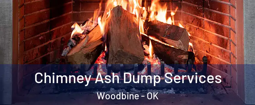 Chimney Ash Dump Services Woodbine - OK